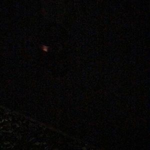 Meet your Posher, Candy